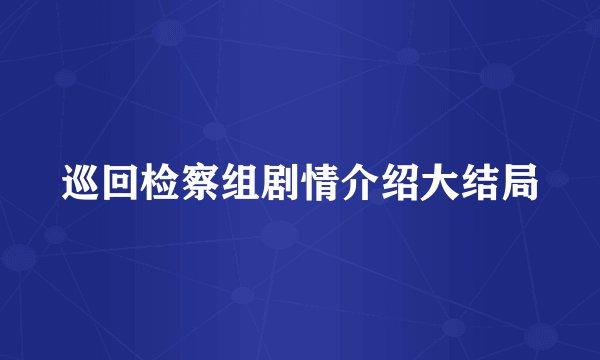 巡回检察组剧情介绍大结局