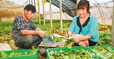 “农超对接”是什么意思？