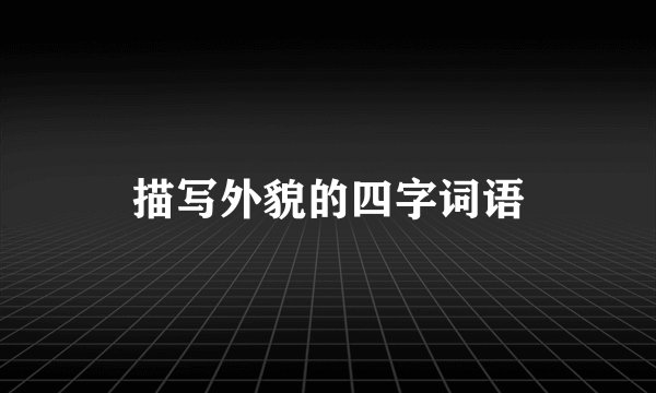描写外貌的四字词语