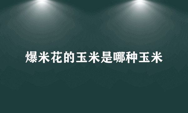 爆米花的玉米是哪种玉米