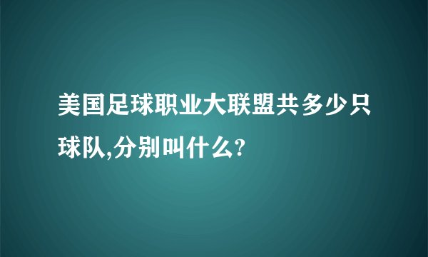 美国足球职业大联盟共多少只球队,分别叫什么?