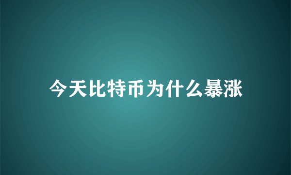 今天比特币为什么暴涨