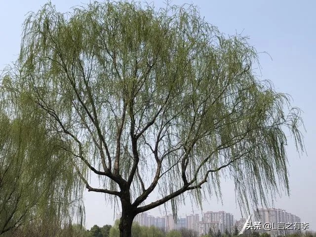 沙县那里的风景最漂亮？