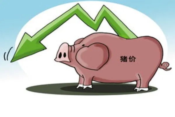 目前，我国生猪肉的行情如何？