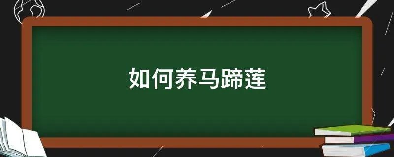 如何养马蹄莲