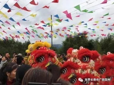 贺州最近的“桂台客家宗亲经济文化论坛”是怎么回事？