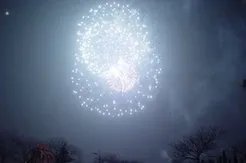 求放烟花的图片 越多越好 3张左右 一张也可以