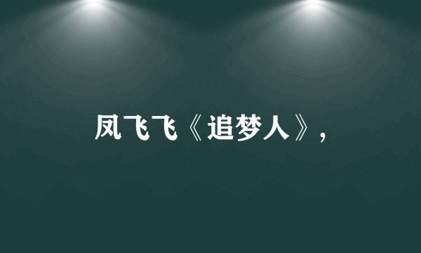 凤飞飞《追梦人》,