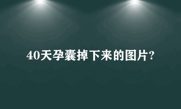 40天孕囊掉下来的图片?