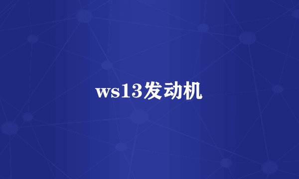 ws13发动机