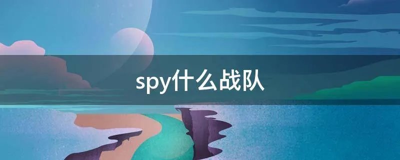 spy什么战队