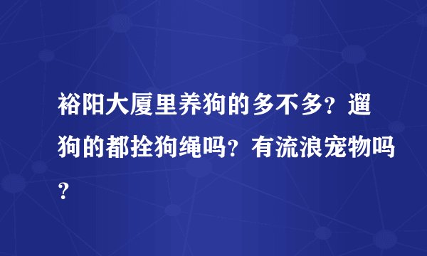 裕阳大厦里养狗的多不多？遛狗的都拴狗绳吗？有流浪宠物吗？