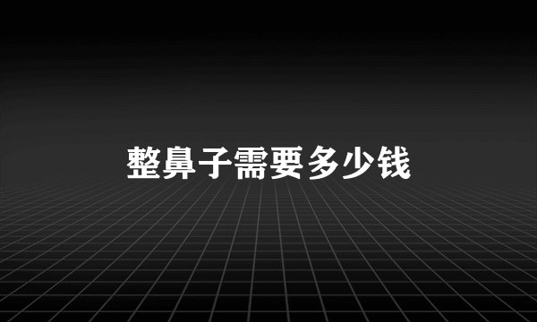 整鼻子需要多少钱