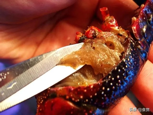 怎样才能吃到最优质的小龙虾?
