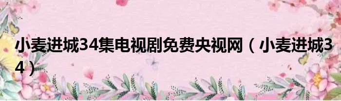 小麦进城34集电视剧免费央视网（小麦进城34）
