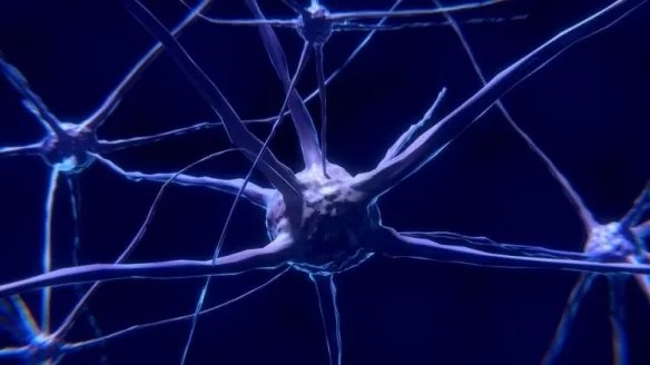 大脑真的一片空白！全世界有2.5%的人患有“想象障碍”