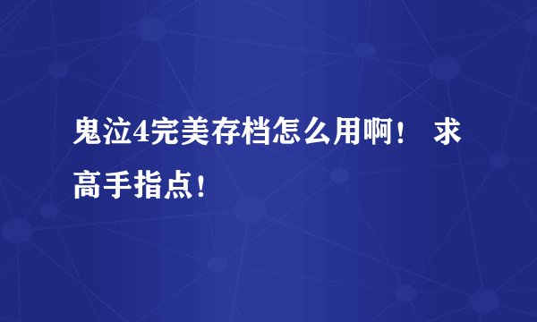 鬼泣4完美存档怎么用啊！ 求高手指点！