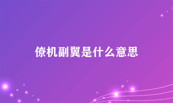 僚机副翼是什么意思