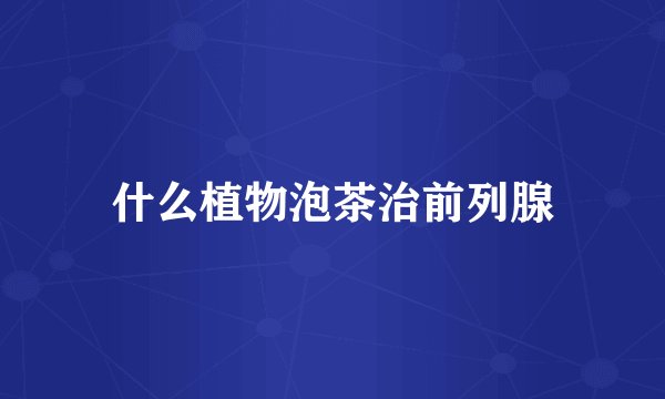 什么植物泡茶治前列腺