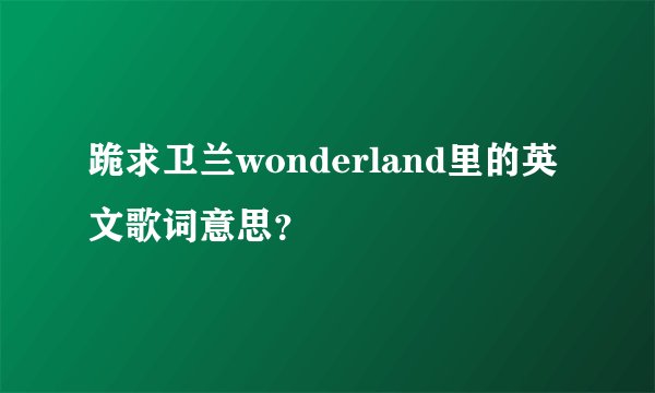 跪求卫兰wonderland里的英文歌词意思？