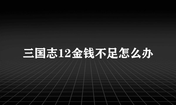 三国志12金钱不足怎么办