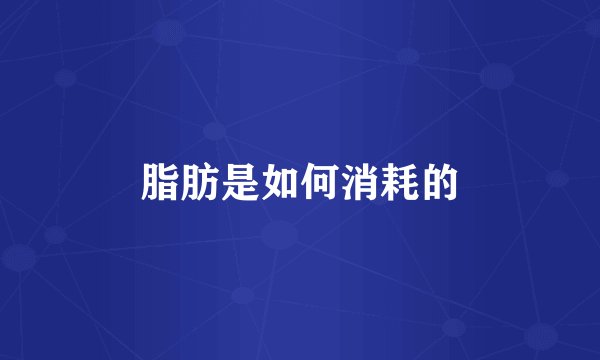 脂肪是如何消耗的