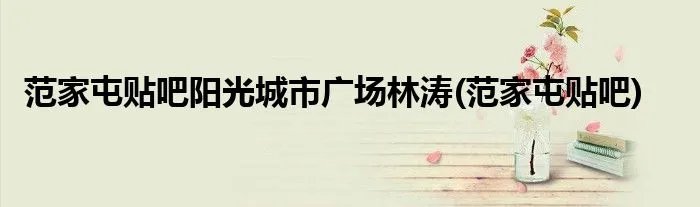 范家屯贴吧阳光城市广场林涛(范家屯贴吧)