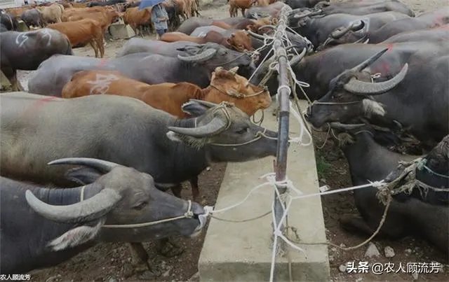 你认为中央电视台的《致富经》能让人致富吗?