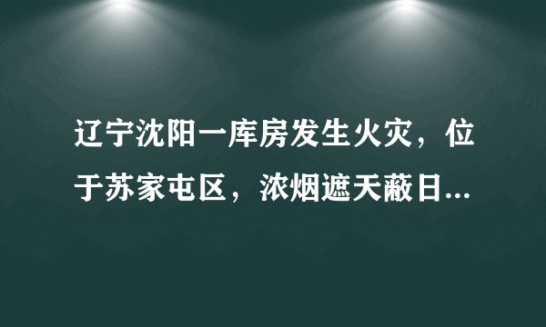 辽宁沈阳一库房发生火灾，位于苏家屯区，浓烟遮天蔽日现场曝光