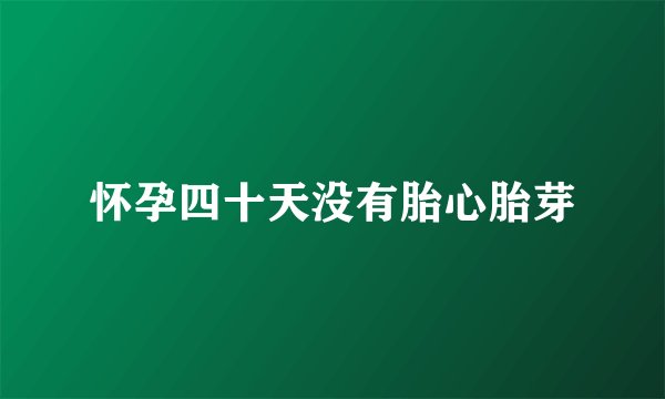 怀孕四十天没有胎心胎芽