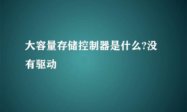 大容量存储控制器是什么?没有驱动