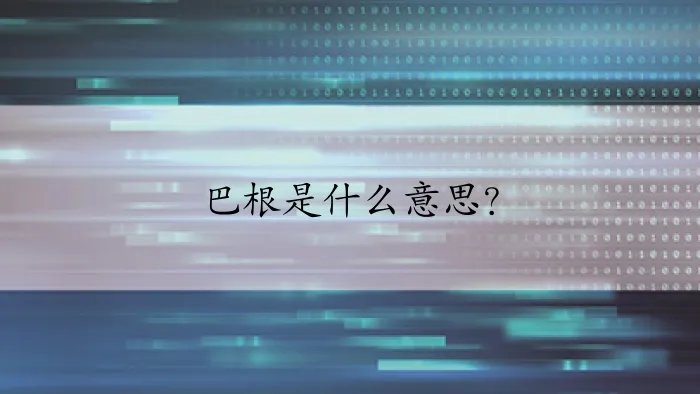 巴根是什么意思？