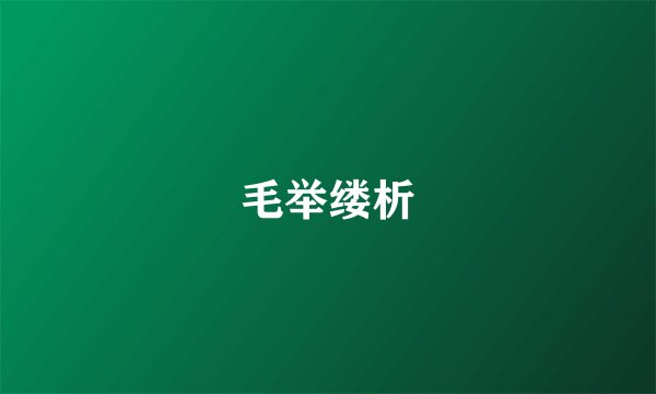 毛举缕析