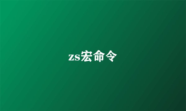 zs宏命令
