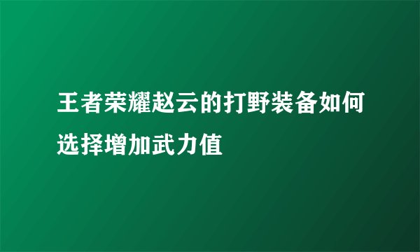 王者荣耀赵云的打野装备如何选择增加武力值
