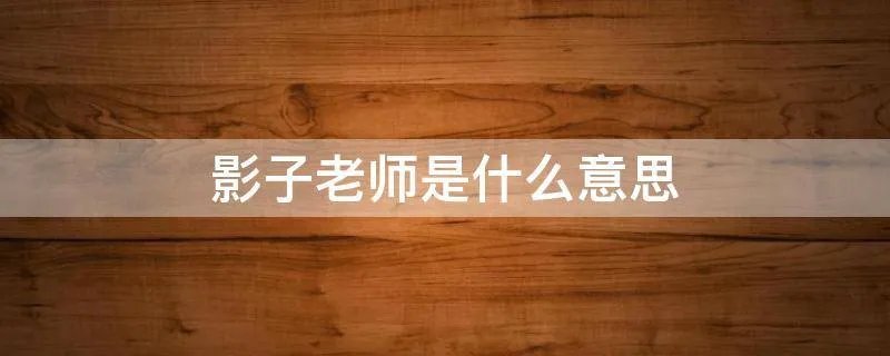 影子老师是什么意思
