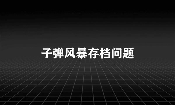 子弹风暴存档问题