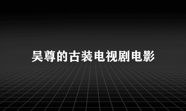 吴尊的古装电视剧电影
