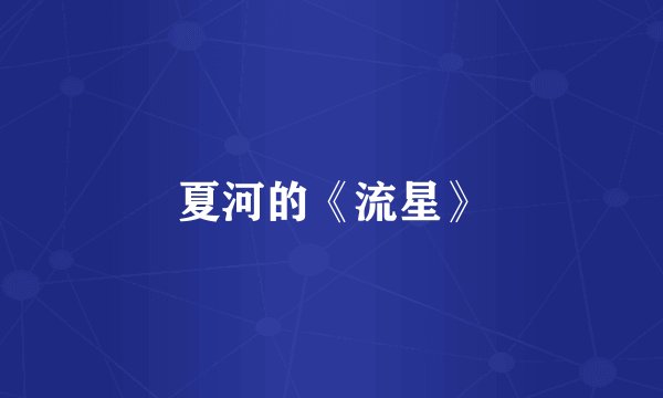 夏河的《流星》