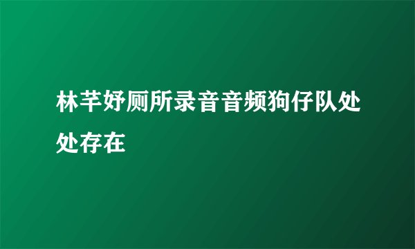林芊妤厕所录音音频狗仔队处处存在