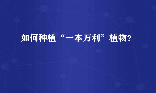如何种植“一本万利”植物？