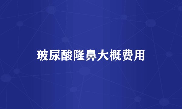玻尿酸隆鼻大概费用