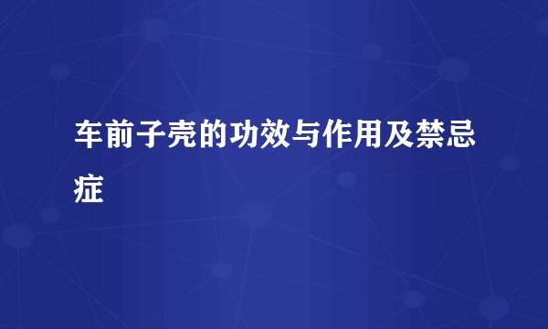 车前子壳的功效与作用及禁忌症