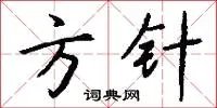 方针