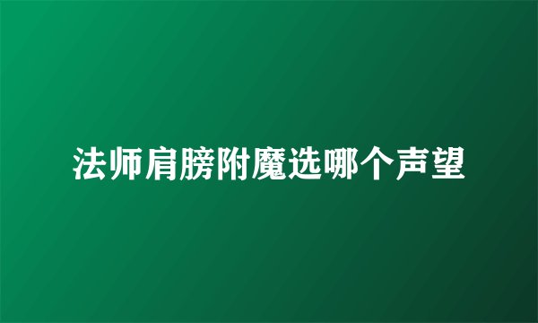 法师肩膀附魔选哪个声望