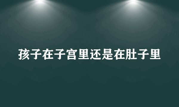 孩子在子宫里还是在肚子里