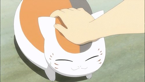你家的猫做过哪些不可思议的事呢？