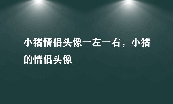 小猪情侣头像一左一右，小猪的情侣头像