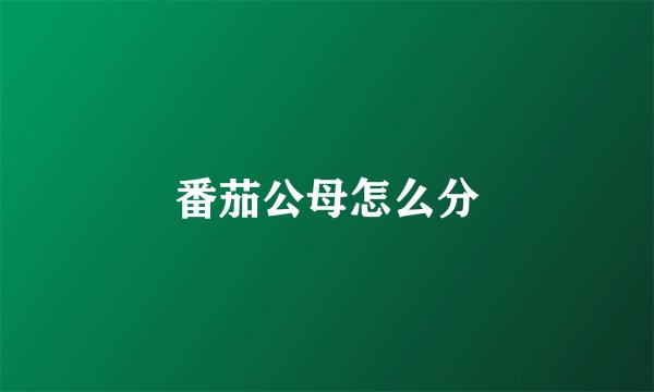 番茄公母怎么分