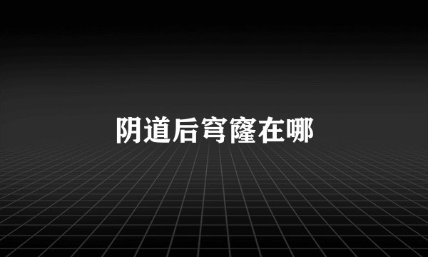 阴道后穹窿在哪